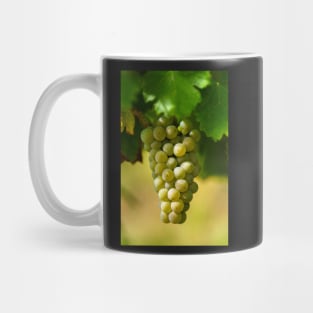 Ripening grapes on the vine Mug